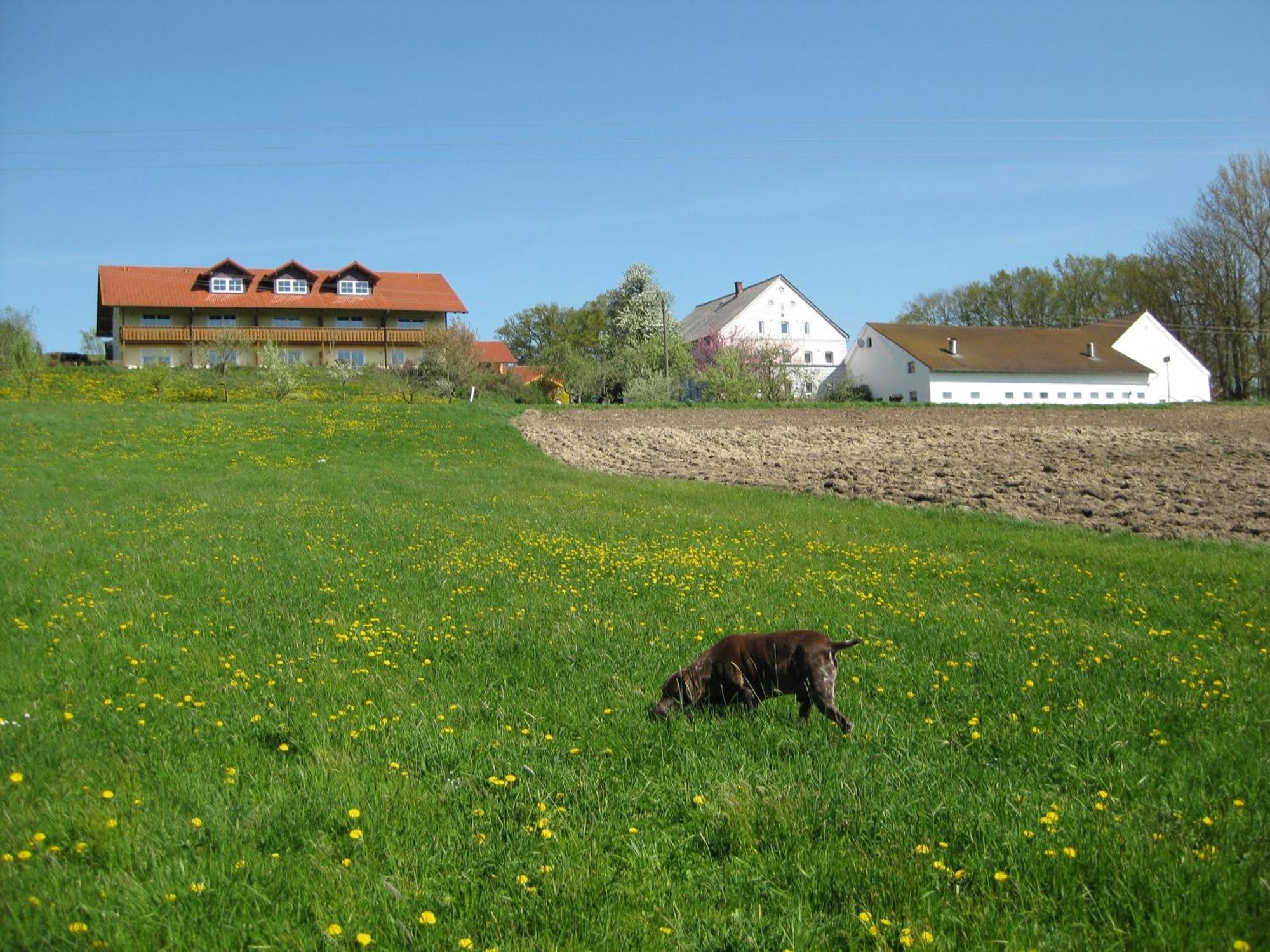 Ferienhof Rieger Rotthalmuenster Екстер'єр фото
